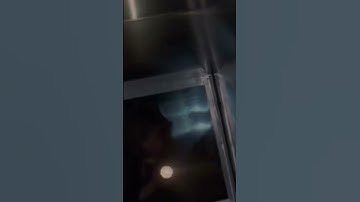 The X Files Season 1 Episode 7: Ghost in the Machine