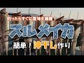 スルメイカ 船上でさばいて干す！　沖干しの作り方