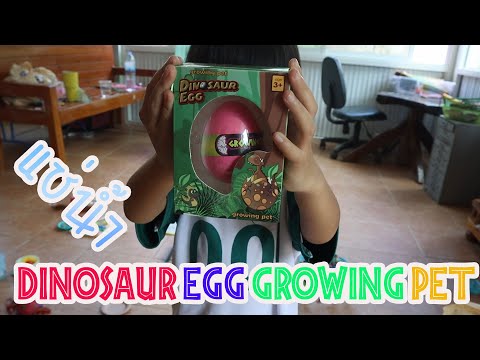 ไข่ไดโนเสาร์แช่น้ำ/Dinosaur egg growing pet