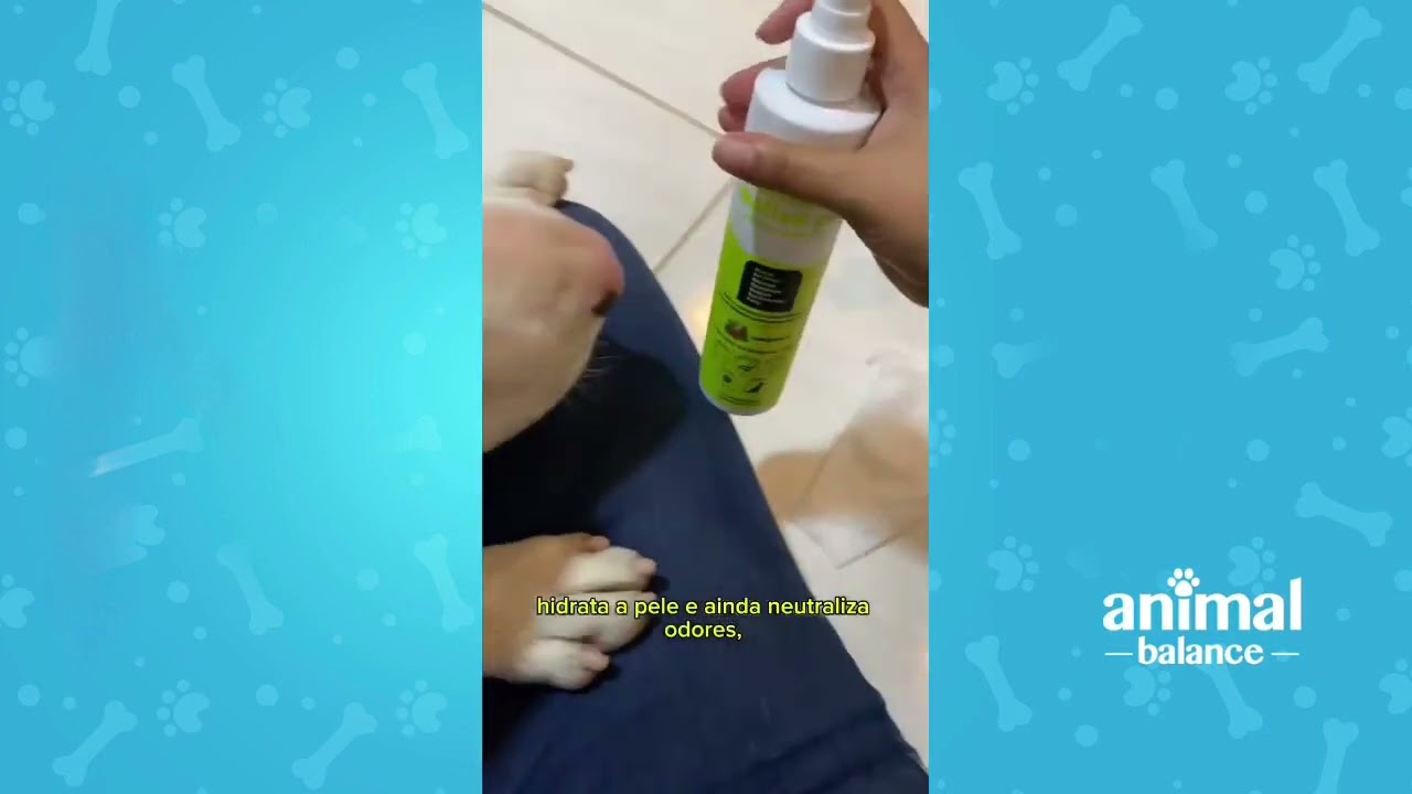 Seu pet limpinho, após um banho a seco! 