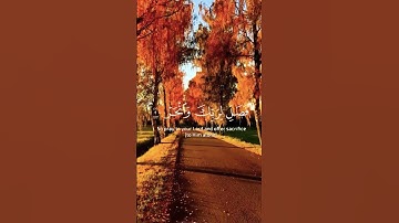 إن أعطيناك الكوثر 🥀عبد الرحمن مسعد 🌿تلاوة مؤثرة حالات واتس اب دينية مؤثرة