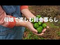 自給暮らしvlog｜秋の食材で作るおかずとデザート｜大好きな秋刀魚の南蛮漬け｜ヘルシーなかぼちゃのチーズケーキ｜#80