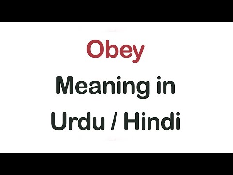 ቪዲዮ: ውሻዎች በመልእክት አጓጓ Onች ላይ እየጨመሩ መጥተዋል የቤት እንስሳት ወላጆች ምን ማድረግ ይችላሉ