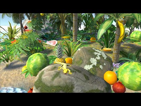 Wasserfall Video