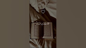 فمن يرد الله ان يهديه يشرح صدره للإسلام ❤️ #القرآن_الكريم #تلاوات #تلاوة_خاشعة #تلاوة_هادئة #قرآن
