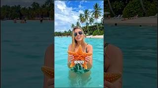 Starfish Can Do THIS?! 😱 | Amazing Starfish Facts