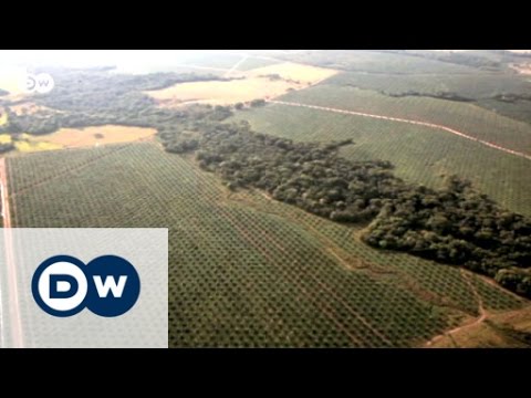 Video: Hoe affekteer grondverskuiwings die omgewing?
