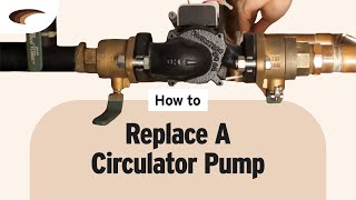 Replacing a Circulator Pump