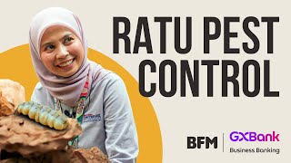 Ratu Pest Control #pestcontrol #malaysianbusiness #termitetreatment