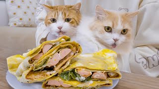 Pancake fruit, delicious!  | SanHua Cat Live