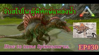 #ARKMOBILE EP#30 จับสไปโนซอรัส ผู้พิทักษ์แหล่งน้ำ/How to tame  Spinosaurus #Servival