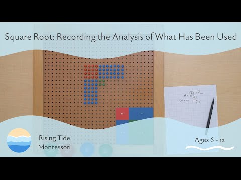 Square Root: Recording the Analysis of What Has Been Used