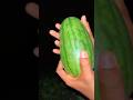 Green Watermelon &amp; Noodles🫒 #villagelife #wildlife #cooking #food #viral #survival #junglelife