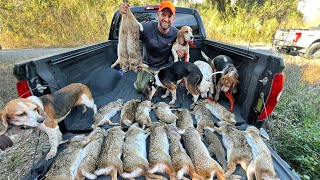 Hunting BIG SWAMP RABBITS with A PACK OF BEAGLES (CATCH AND COOK)