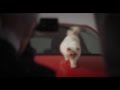 Choupette & Opel Corsa by Karl Lagerfeld | AutoMotoTV