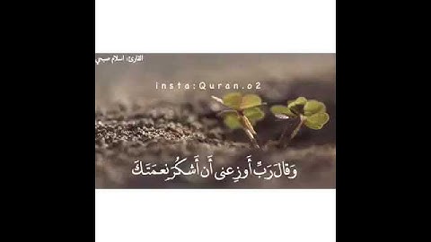 حالات واتس اب صوت رائع | سورة النمل | القارئ اسلام صبحي
