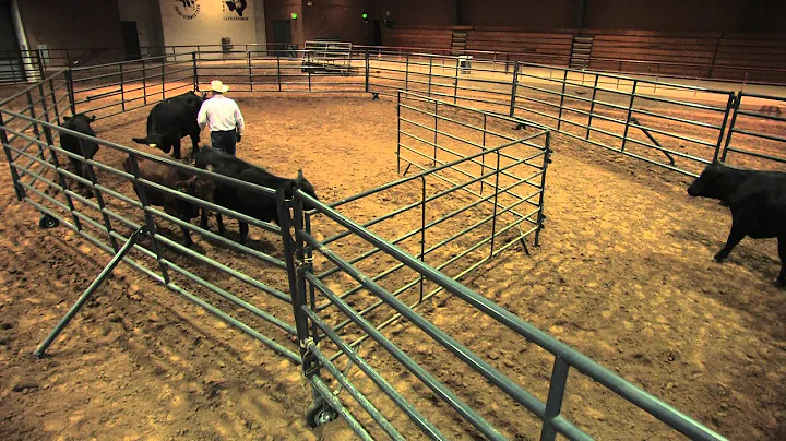 Ron Gill - Stockmanship - Accommodating for Cattle Escaping