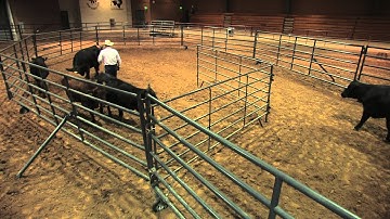 Ron Gill - Stockmanship - Accommodating for Cattle Escaping