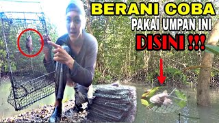 BERBURU KEPITING BAKAU || MASANG BUBU PAKE UMPAN INI JAMIN AMPUH