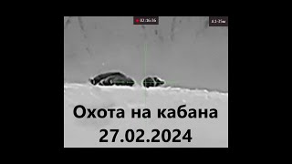 Охота на кабана 27.02.2024