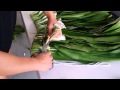 How to make a ti leaf skirt