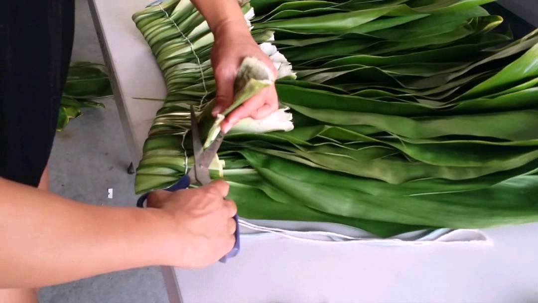 How To Make A Ti Leaf Skirt 82