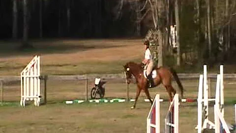 Allison Eastman-Lawler @ PineTop HT Stadium Jumping