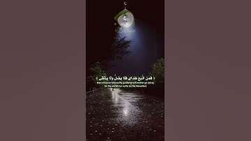لحظات من الخشوع تلامس القلوب  استمع وتدبّر  #قرآن #خشوع #ماهر_المعيقلي #راحة_القلب #تلاوة_خاشعة