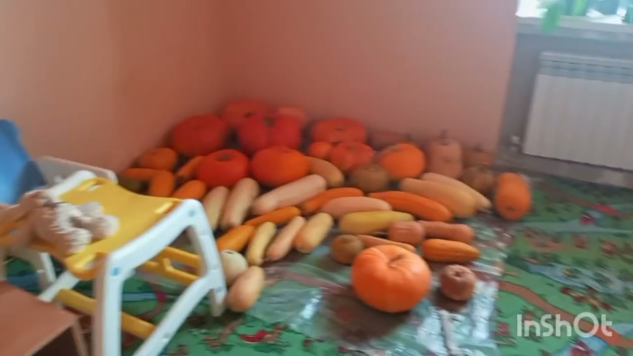 ДЕРЕВЕНСКАЯ ЖИЗНЬ. ВИЛЛА ДЛЯ КУРОЧКИ.