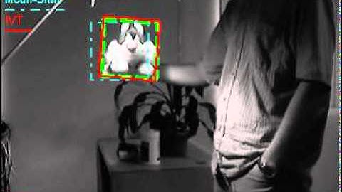 Robust Visual Tracking by Maximizing Posterior Probability of Matching Residuals - 2