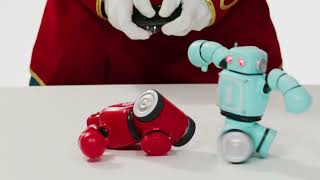 P001124 FAO Vehicle RC Toy Robot Knockout