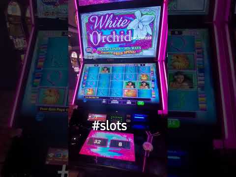 Queen Of Rebirth | $100 long shot bet @Treasureislandmn #Baccarat #Casino