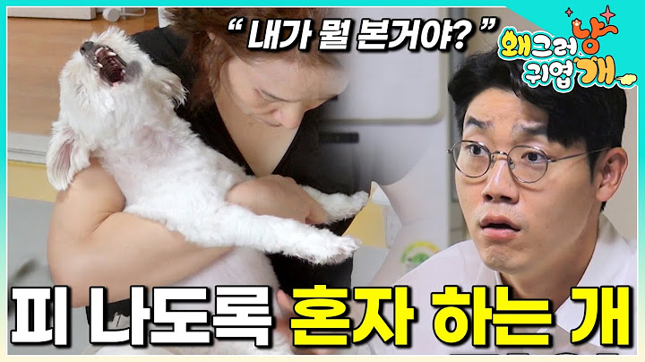 "내가 아픈 것 같다 " 처음 보는 장면에 경악한 설채현 피가 쏟아지도록 생식기를 당기고 물어뜯는 개 │#왜그러냥귀엽개