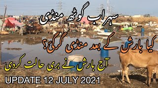 Sohrab Goth Mandi After RAIN | Latest Update 12 July 2021 | Bakra Eid Season 2021