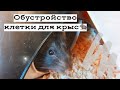 ОБУСТРОЙСТВО КЛЕТКИ ДЛЯ КРЫСЫ / Как обустроить?