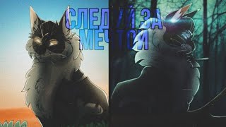 🌠Коты Воители |~ клип ~| следуй за мечтой 🌠