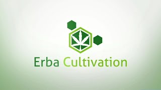 Erba Cultivation - Decentralized Industrial Hemp Farm & Extraction Facility