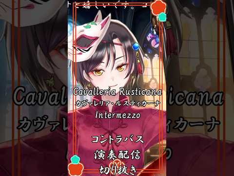 【Cavalleria Rusticana/カヴァレリア・ルスティカーナIntermezzo】コントラバス演奏配信切り抜き #おやすみvtuber