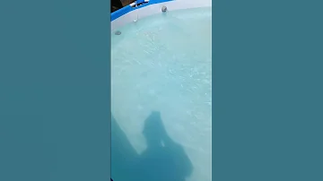 Wie bekomme ich kristallklares Wasser im Pool?