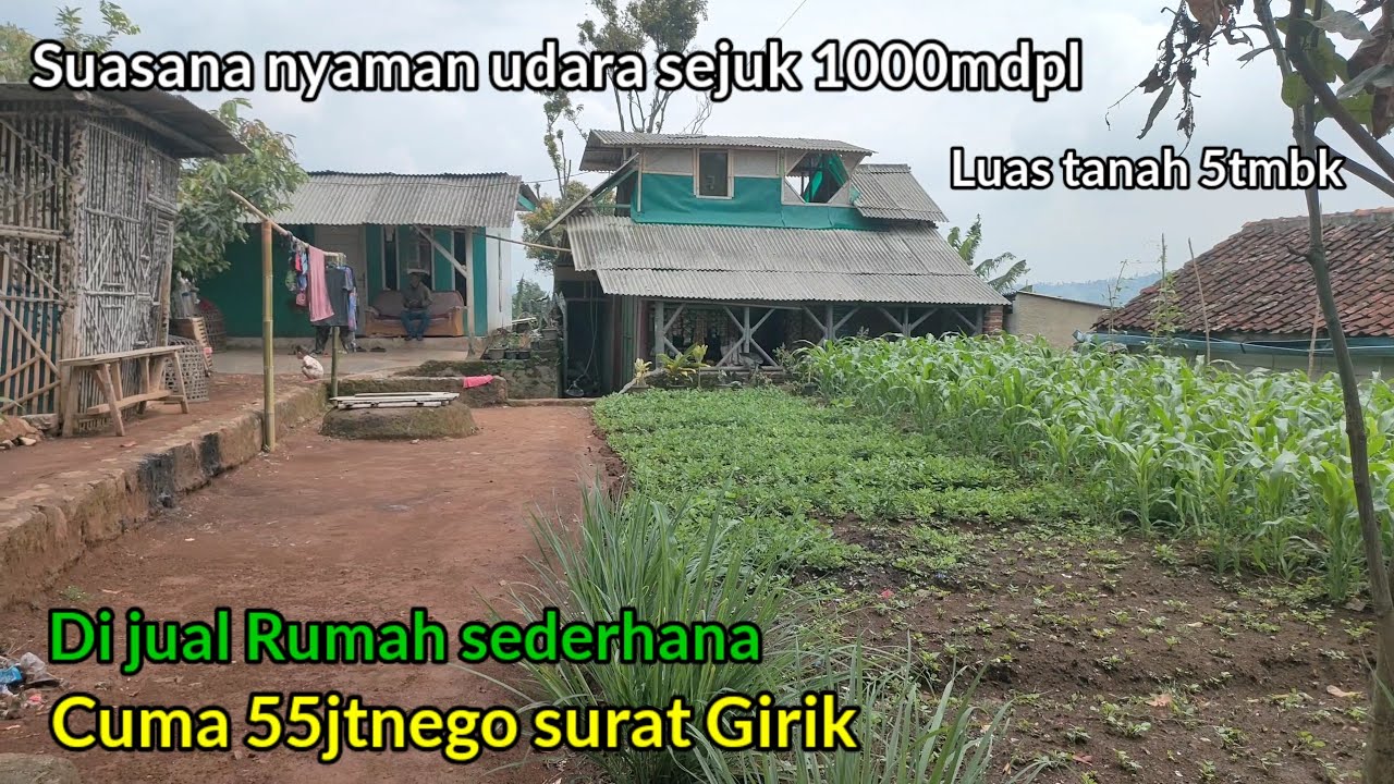 DI JUAL 50jt Nego ‼️ suasana nyaman view nya keren ketinggian 1000mdpl