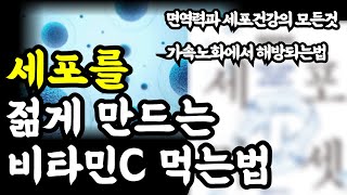 세포를 젊게 만드는 비타민c 섭취방법 / 면역력과 세포건강의 모든것 / 가속노화에서 해방되는 법