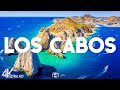Top 10 Best Things to Do in Los Cabos, Minnesota - Travel Guide 2025