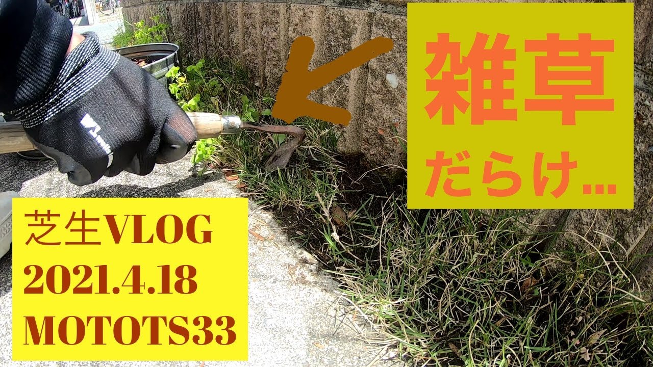 ベント芝の芝刈りと駐車場高麗芝の草取り 芝vlog 4 18 フリーセル厳選動画まとめ