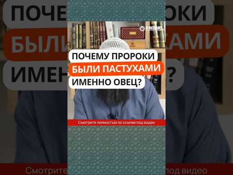 69.2 Почему все пророки были пастухами именно овец? #Shorts Ринат Абу Мухаммад