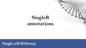 scRNA-seq: SingleR annotations