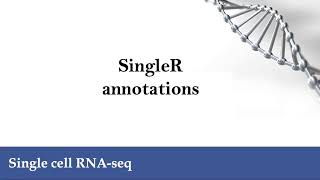 scRNA-seq: SingleR annotations Profile