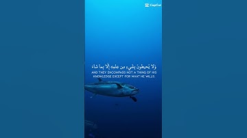 الله لا إله إلا هو الحي القيوم // سورة البقرة للشيخ سعود الشريم