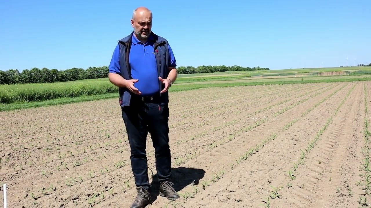 Virtueller Feldrundgang Nordost | Jetzt Blattapparat in Weizen schützen / Empfehlungen für den Mais