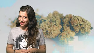 ESPAÑA más cerca de la REGULACIÓN del CANNABIS MEDICINAL Marihuana NOW 117