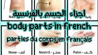 اجزاء الجسم بالفرنسية/body parts in french